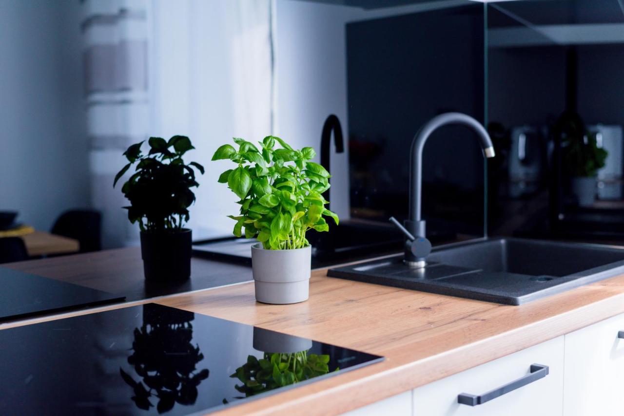 Apartamenty U Maciusia Duszniki Zdrój Extérieur photo